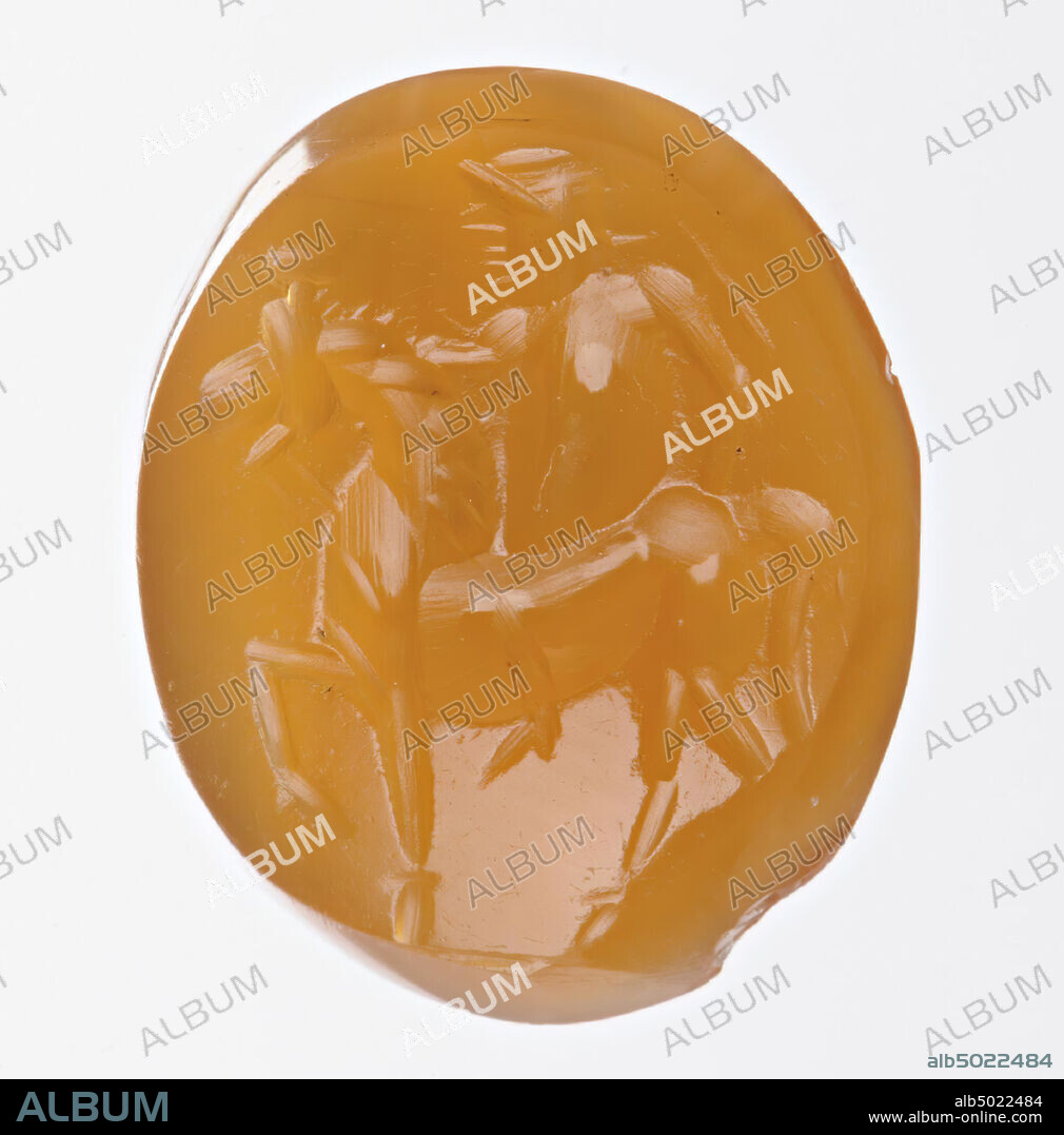 Vz: a naked man sitting on a horse that is shown with his left front leg  bent, gem, intaglio, ringstone, carnelian, Color: light orange, Shape:  oval, Machining: front slig - Album alb5022484