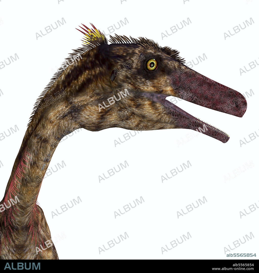 troodon