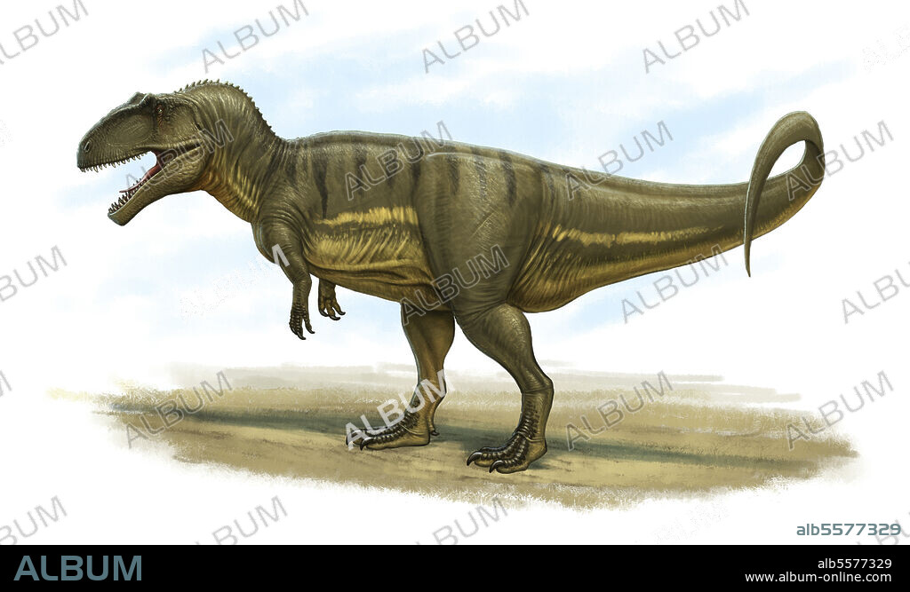 Giganotosaurus carolinii, side view. - Album alb5577329