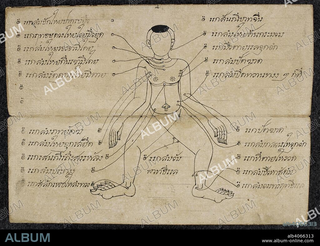 Thai medical diagram showing the pressure points on a Human body. Massage  treatise. Thailand, 1800 - 1850. Paper folding book (samut khoi).  Dimensions: 355 mm x 127 mm. Sc - Album alb4066313