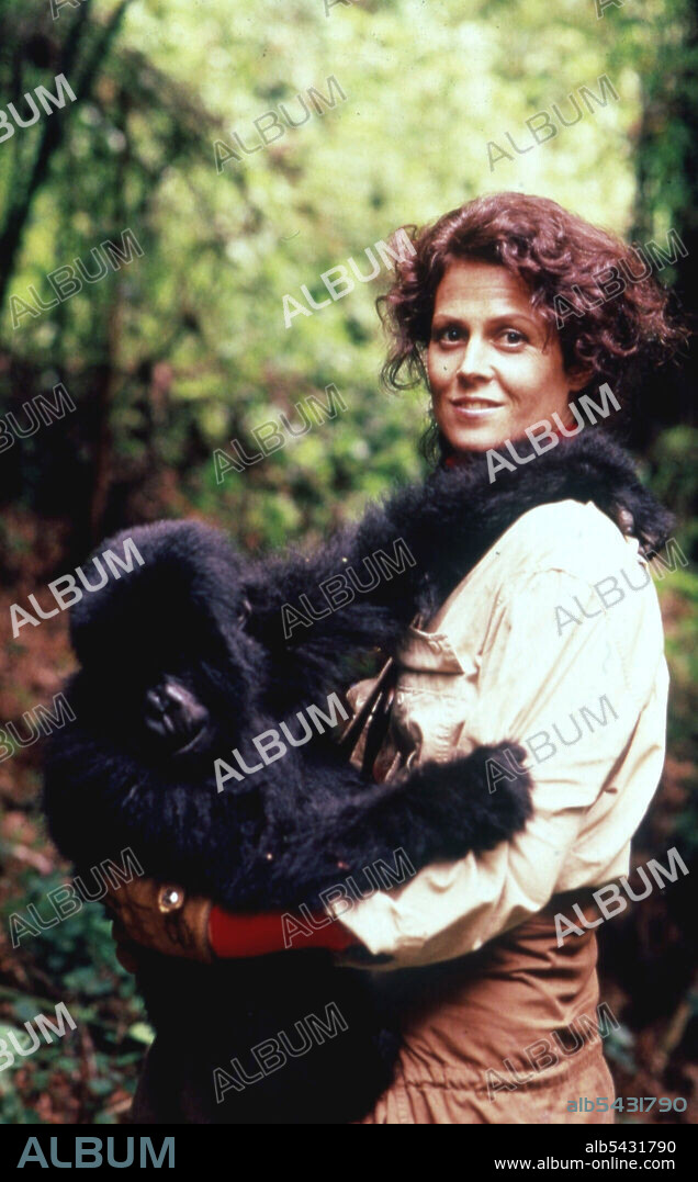 GORILLAS IN THE MIST: THE STORY OF DIAN FOSSEY, 1988, directed by MICHAEL APTED. Copyright WARNER BROTHERS.