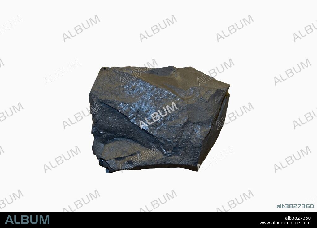 Cannel Coal from Kentucky, USA.
