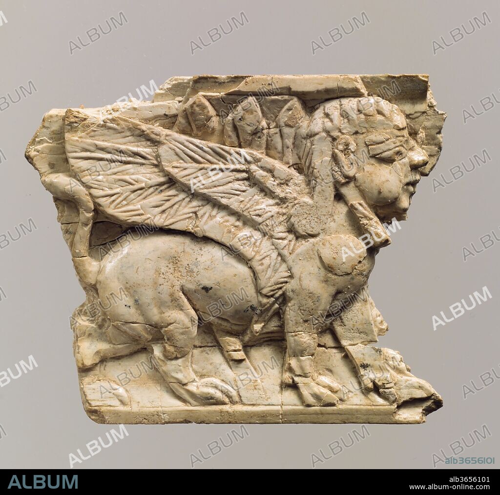 Furniture plaque carved in relief with sphinx. Culture: Assyrian. Dimensions: 2.44 x 2.99 x 0.31 in. (6.2 x 7.59 x 0.79 cm). Date: ca. 9th-8th century B.C..
This carved ivory plaque was found in a storage room in Fort Shalmaneser, a royal building at Nimrud that was used to store booty and tribute collected by the Assyrians while on military campaign. It depicts a winged, human-headed sphinx striding to the right, framed above and below by a plain flat border. A plant grows behind the sphinx's body, with a stem visible under the belly and a row of three leaves or fronds rising above the edge of the wing. The sphinx has plump cheeks, a large beaked nose, a small mouth, and a receding chin; its hair is dressed in separate long plaits, one ending in a curl behind the shoulder and one extending over the chest. The body is stocky and muscular, and the flexed hindquarters are skillfully modeled to convey the creature's imposing physicality. Carved ivory pieces such as this were widely used in the production of elite furniture during the early first millennium B.C. They were often inlaid into a wooden frame using joinery techniques and glue, and could be overlaid with gold foil or inlaid to create a dazzling effect of gleaming surfaces and bright colors.
Built by the Assyrian king Ashurnasirpal II, the palaces and storerooms of Nimrud housed thousands of pieces of carved ivory. Most of the ivories served as furniture inlays or small precious objects such as boxes. While some of them were carved in the same style as the large Assyrian reliefs lining the walls of the Northwest Palace, the majority of the ivories display images and styles related to the arts of North Syria and the Phoenician city-states. Phoenician style ivories are distinguished by their use of imagery related to Egyptian art, such as sphinxes and figures wearing pharaonic crowns, and the use of elaborate carving techniques such as openwork and colored glass inlay. North Syrian style ivories tend to depict stockier figures in more dynamic compositions, carved as solid plaques with fewer added decorative elements. However, some pieces do not fit easily into any of these three styles. Most of the ivories were probably collected by the Assyrian kings as tribute from vassal states, and as booty from conquered enemies, while some may have been manufactured in workshops at Nimrud. The ivory tusks that provided the raw material for these objects were almost certainly from African elephants, imported from lands south of Egypt, although elephants did inhabit several river valleys in Syria until they were hunted to extinction by the end of the eighth century B.C.