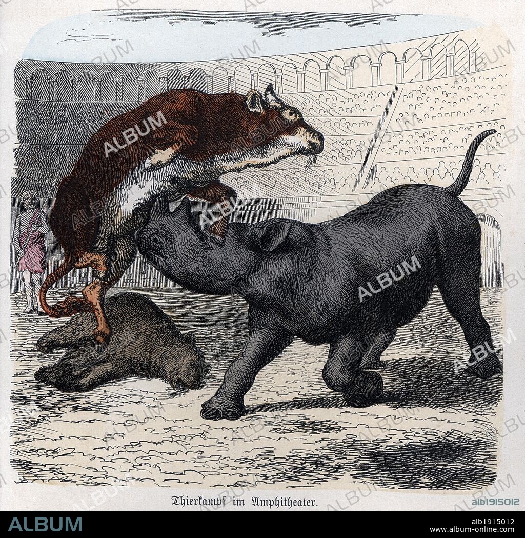 Historia Antigua. Roma. Circo romano, lucha entre animales y fieras. Grabado alemán de 1865.