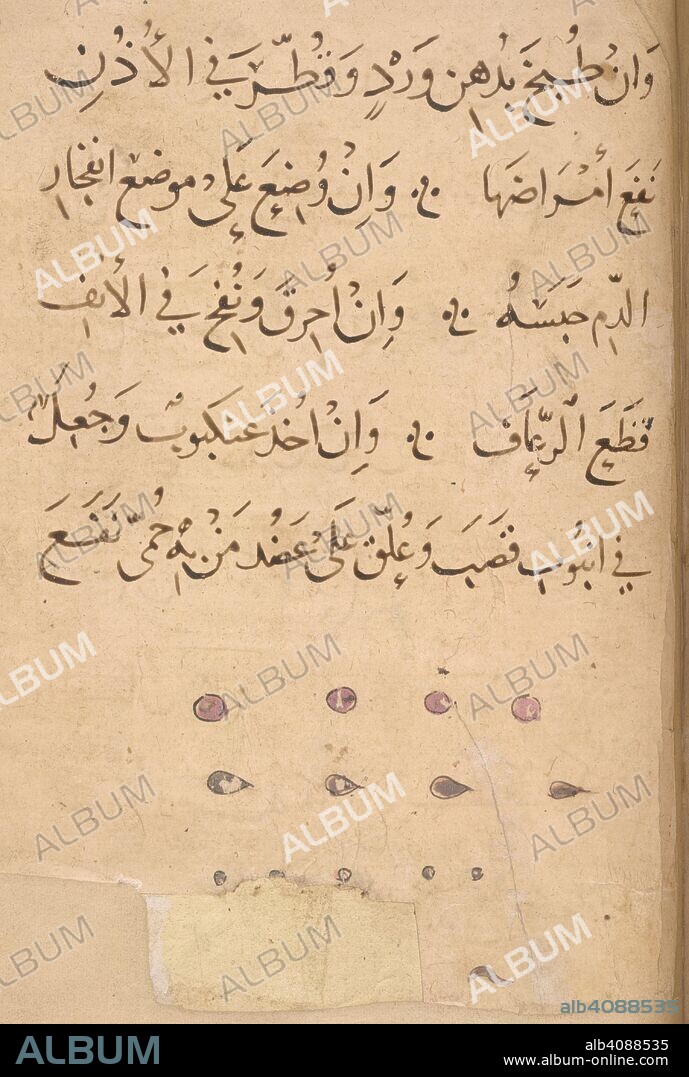 Four each of lice, ticks, mites, weevils. Kitab Na't al-hayawan (book of the characteristics of animals). Middle East, 13th century. A treatise on animals and the medical properties of the various parts of their bodies, compiled from works of Aristotle and Ibn Bakhtishu'. Source: Or. 2784 f.253r. Language: Arabic.