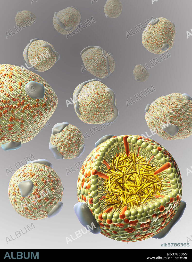 Various low density lipoproteins with Chylomicrons are dangerous components of human blood when in high concentration.