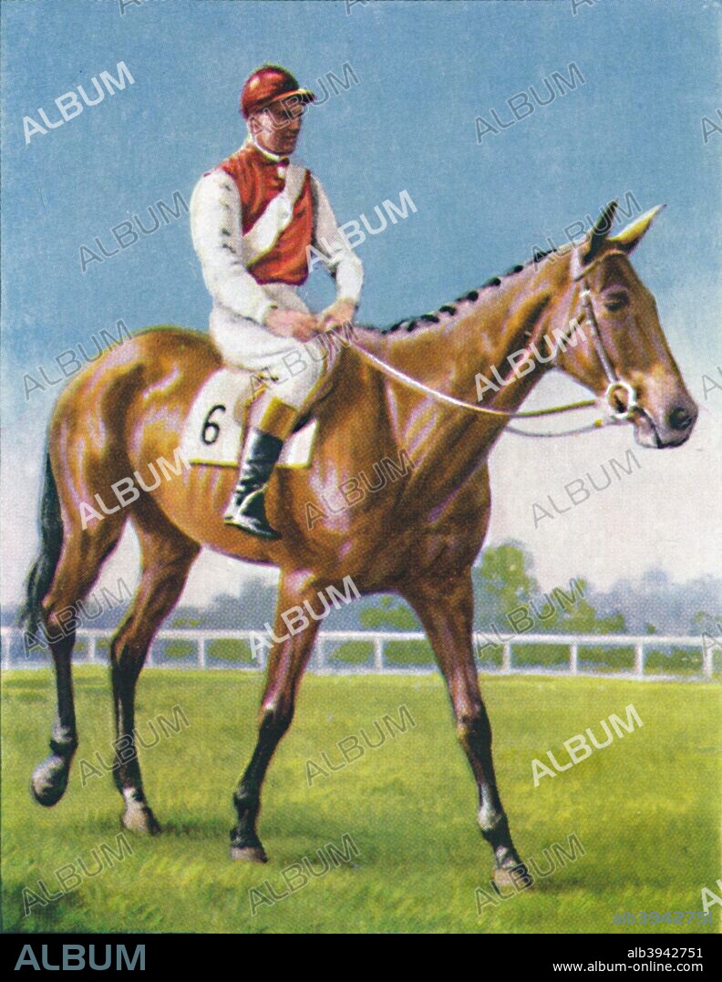 Royal Danieli, Jockey: D. Moore', 1939. Royal Danieli finished in second place at the 1938 Grand National. From Racehorses & Jockeys, 1938 - A Series of 40. [W. D. & H. O. Wills, Bristol, 1939].