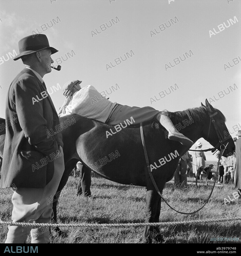 A pony on Exmoor, Somerset, c1946-c1959. Artist: John Gay - Album alb3979748