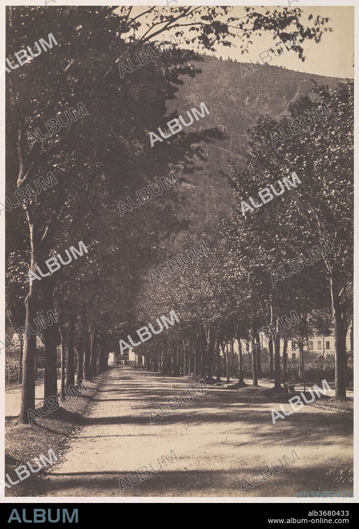 W. H. GUEBHARD. [Allée of Trees, Pau] - Album alb3680433