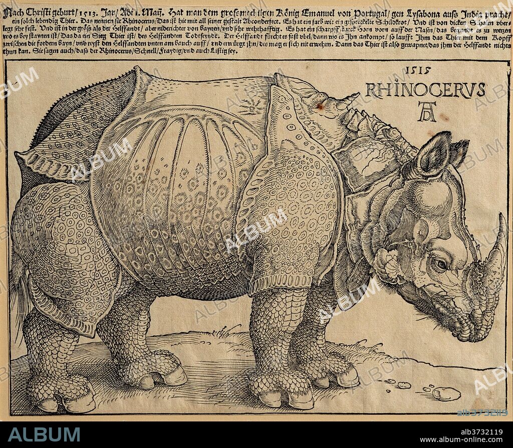 ALBRECHT DÜRER. The Rhinoceros. Dated: 1515. Dimensions: sheet (trimmed to image): 23.5 x 29.8 cm (9 1/4 x 11 3/4 in.). Medium: woodcut.