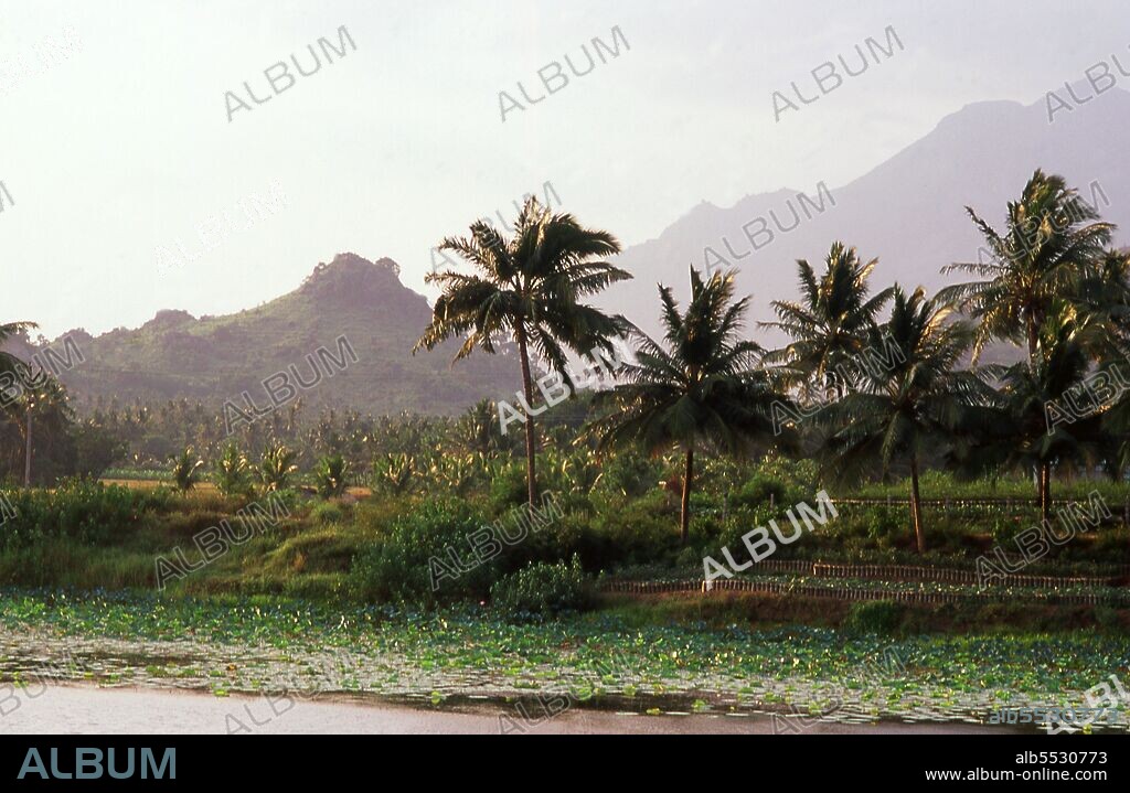 The Western Ghats are a mountain range along the western side of India. It is a UNESCO World Heritage Site and is one of the most biologically diverse areas in the world. It is sometimes called the Great Escarpment of India. The range runs north to south along the western edge of the Deccan Plateau, and separates the plateau from a narrow coastal plain, called Konkan, along the Arabian Sea.