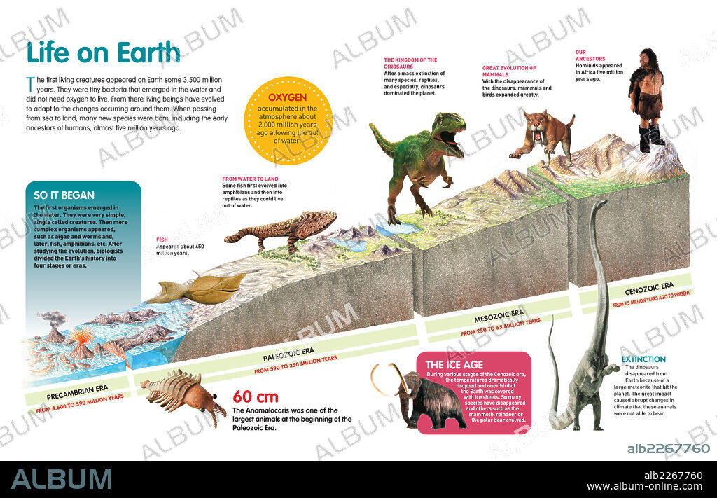 Life on Earth. Infographic that describes evolution of life on Earth throughout the geological eras.