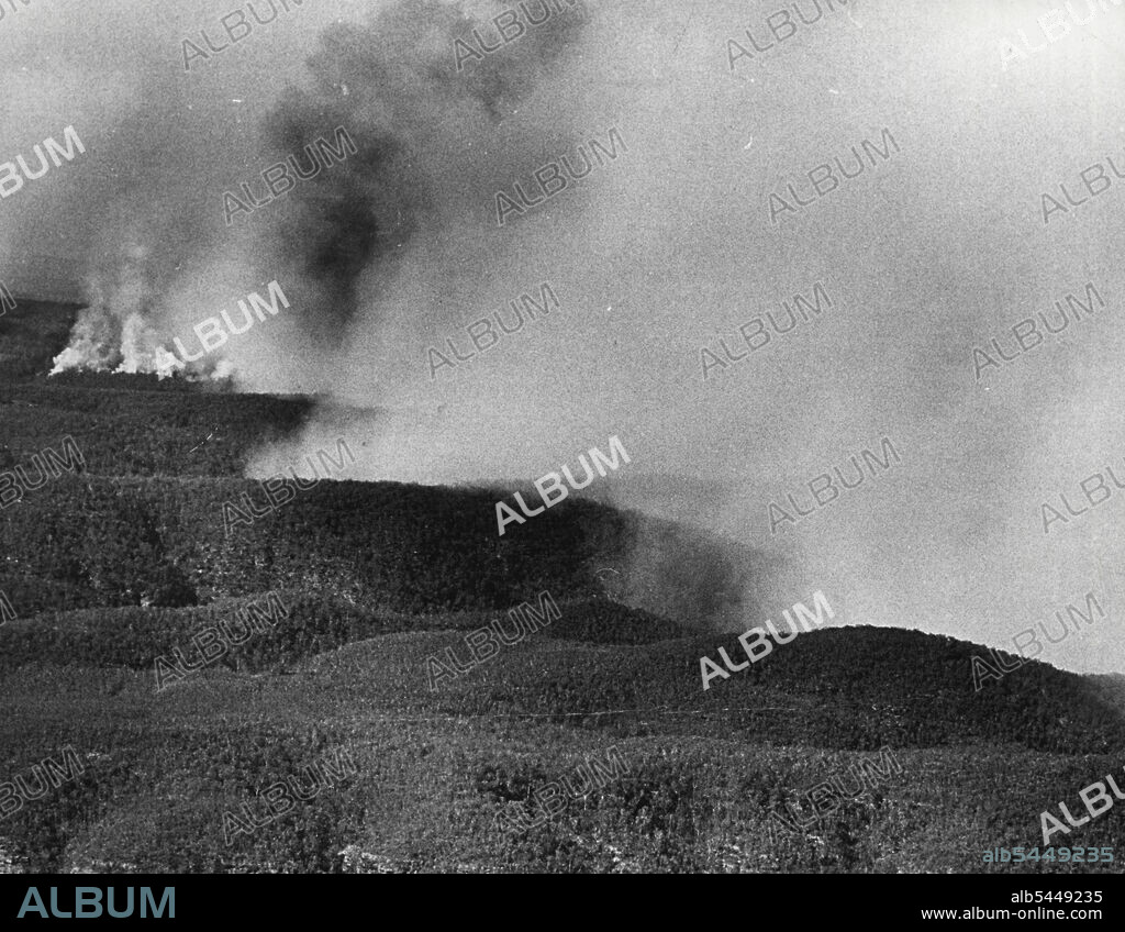 Fires burning in the mountains to the north- *****. Variations in the percentage of protected forests burnt each year. The area of coniferous plantations is increasing rapidly, but the percentage burnt is fairly constant. February 22, 1932. (Photo by Stuart William MacGladrie/Fairfax Media).