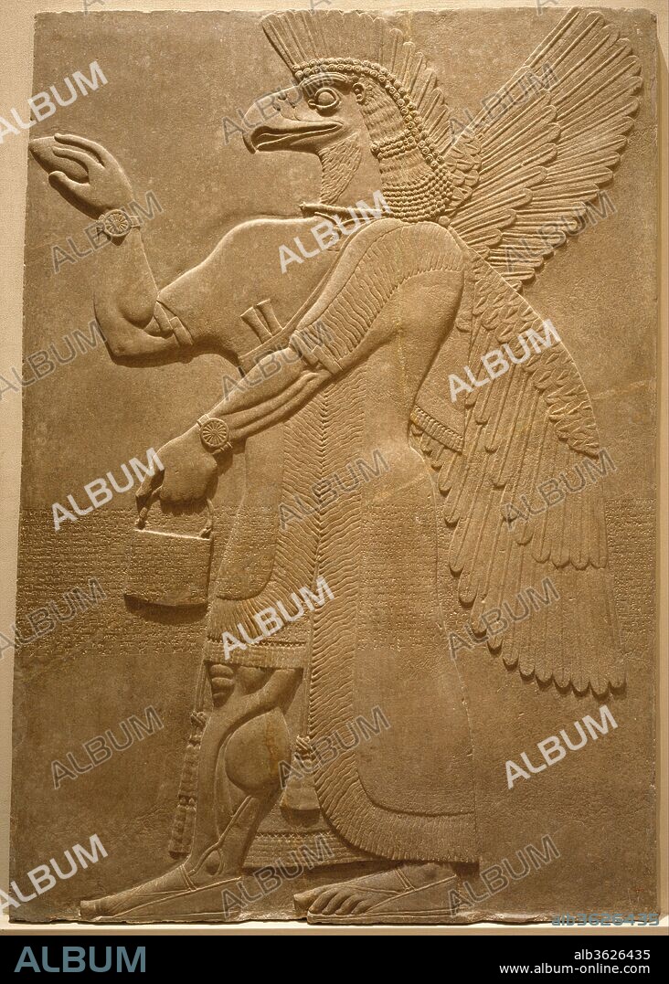 Relief panel. Culture: Assyrian. Dimensions: 93 x 70 x 4 1/4 in. (236.2 x 177.8 x 10.8 cm). Date: ca. 883-859 B.C..
This panel from the Northwest Palace at Nimrud (ancient Kalhu) depicts a winged supernatural figure. Such figures appear throughout the palace, sometimes flanking either the figure of the Assyrian king or a stylized "sacred tree." The reliefs were painted, but today almost none of the original pigment survives. However, the reliefs themselves retain incredible detail, including intricate incised designs on many of the figures' clothing.
The figure depicted on the panel is eagle-headed and faces left, holding in his left hand a bucket and in his right hand a cone whose exact nature is unclear. One suggestion has been that the gesture, sometimes performed by figures flanking a sacred tree, is symbolic of fertilization: the "cone" resembles the male date spathe used by Mesopotamian farmers, with water, to artificially fertilize female date-palm trees. It does seem likely that the cone was supposed to hold and dispense water from the bucket in this way, but it is described in Akkadian as a "purifier," and the fact that figures performing this gesture are also shown flanking the king suggests that some purifying or protective meaning is present. The figure is richly dressed, with jewelry including a collar whose front bead appears pomegranate-shaped, a further collar with pendant tassels, armlets, and bracelets, one artificially reversed so that the large central rosette symbols, associated with divinity and perhaps particularly with the goddess Ishtar, are visible on both. Although we cannot know how these elements were originally painted, excavated parallels include elaborate jewelry in gold, inlaid with semi-precious stones. The figure carries two knives, tucked into a belt with their handles visible at chest level.
The figures are supernatural but do not represent any of the great gods. Rather, they are part of the vast supernatural population that for ancient Mesopotamians animated every aspect of the world. They appear as either eagle-headed or human-headed and wear a horned crown to indicate divinity. Both types of figure usually have wings. Because of their resemblance to groups of figurines buried under doorways for protection whose identities are known through ritual texts, it has been suggested that the figures in the palace reliefs represent the apkallu, wise sages from the distant past. This may indeed be one level of their symbolism, but protective figures of this kind are likely to have held multiple meanings and mythological connections.
Figures such as these continued to be depicted in later Assyrian palaces, though less frequently. Only in the Northwest Palace do they form such a dominant feature of the relief program. Also unique to the Northwest Palace is the so-called Standard Inscription that ran across the middle of every relief, often cutting across the imagery. The inscription, carved in cuneiform script and written in the Assyrian dialect of the Akkadian language, lists the achievements of Ashurnasirpal II (r. 883-859 B.C.), the builder of the palace. After giving his ancestry and royal titles, the Standard Inscription describes Ashurnasirpal's successful military campaigns to east and west and his building works at Nimrud, most importantly the construction of the palace itself. The inscription is thought to have had a magical function, contributing to the divine protection of the king and the palace.