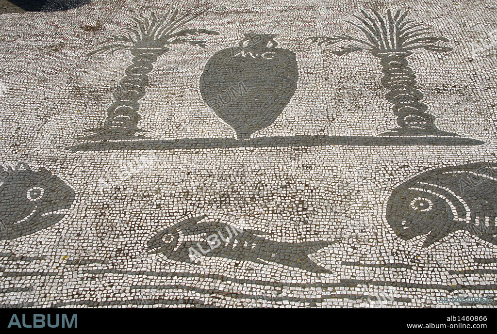 Ostia Antica. Square of the Guilds or Corporations. Mosaic depicting an amphora between two palm trees and three fishes. Near Rome.