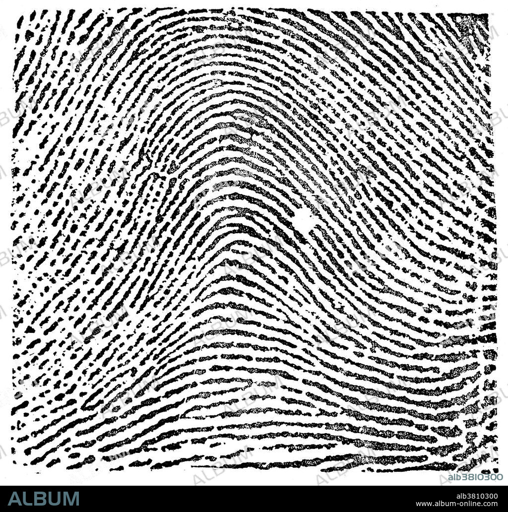 Fingerprint image taken from Edward Richard Henry's, Classification and Uses of Fingerprints. The Henry Classification System divides fingerprint records into groupings based on pattern types. The system makes it possible to search large numbers of fingerprint records by classifying the prints according to whether they have an "arch," "whorl," or "loop." In the typical arch pattern the ridges enter from one side of the finger, rise in the center forming an arc, and then exit the other side of the finger. The Henry Classification System is a long-standing method by which fingerprints are sorted by physiological characteristics for one-to-many searching. Developed by Sir Edward Henry in the late 19th century for criminal investigations in British India, it was the basis of modern day AFIS classification methods up until the 1990s. In recent years, the Henry Classification System has generally been replaced by ridge flow classification approaches.