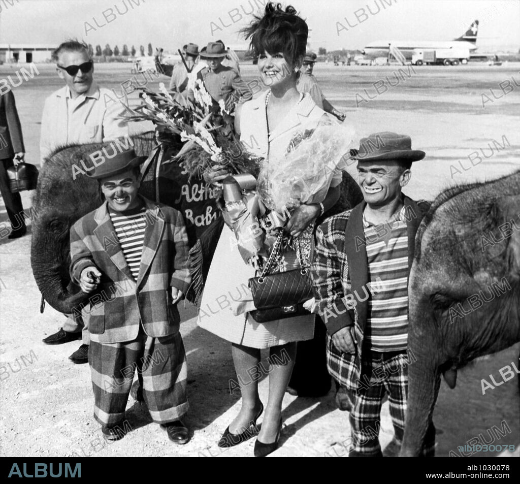 CLAUDIA CARDINALE in CIRCUS WORLD, 1964, directed by HENRY HATHAWAY ...