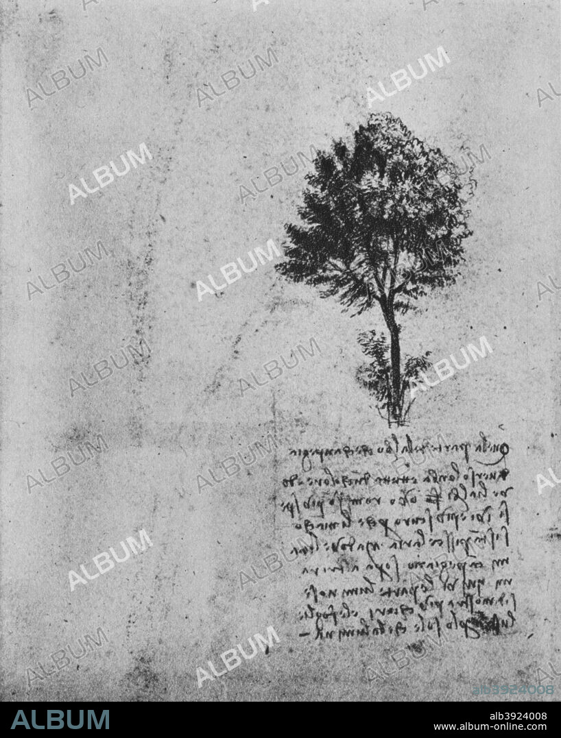 'Study of a Tree', c1480 (1945). From The Drawings of Leonardo da Vinci. [Reynal & Hitchcock, New York, 1945].