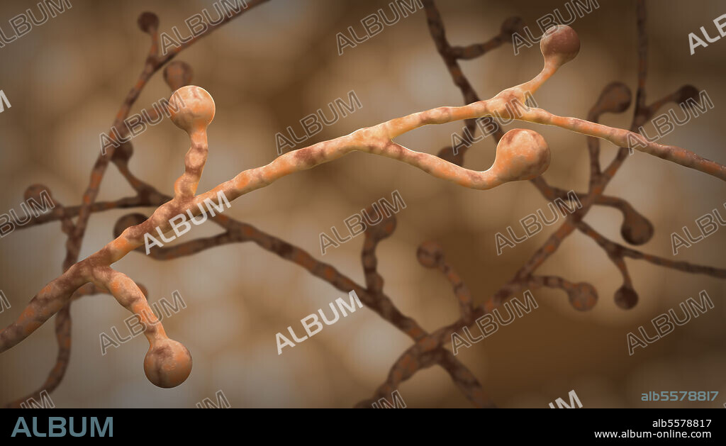 Conceptual biomedical illustration of blastomycosis fungal infection.