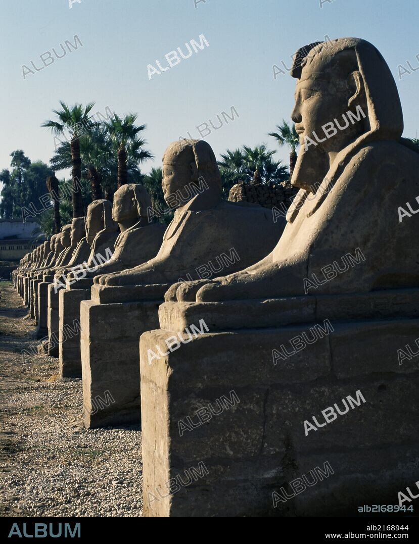 Avenue of Sphinxes, Temple of Amun (Unesco World Heritage List, 1979),  Luxor. Egyptian civilisation, Late Period, Dynasty XXX. - Album alb2168944