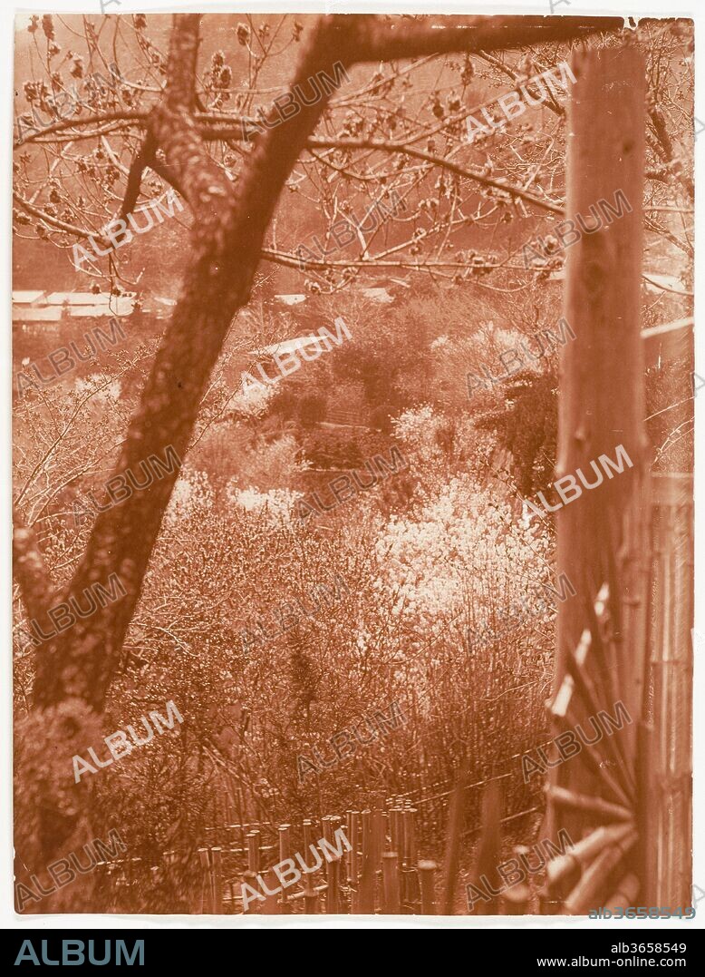 [View from Hillside Through Trees Towards a Valley]. Artist: Adolf de Meyer (American (born France), Paris 1868-1946 Los Angeles, California). Dimensions: 20.4 x 15.4 cm. (8  x 6  1/16  in.). Date: 1900.