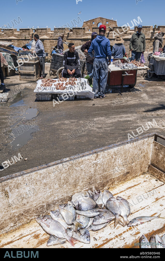 Morocco, Essaouira, Fresh Fish On Sale At The Fishing Harbor