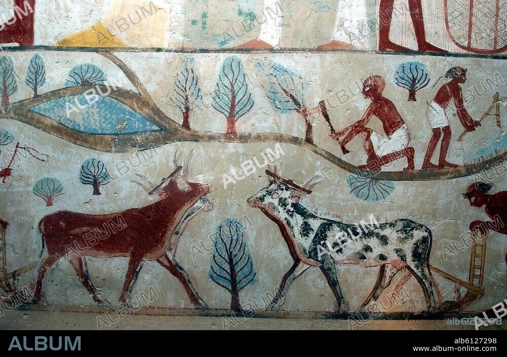 Egyptian, New Kingdom, 18th dynasty, c. 1390 BC.-Farmers ploughing with axe and plough.-Detail from fresco showing agricultural scenes. Fresco from the tomb of Nakht. (TT 52), Necropolis of Sheikh Abd el-Qurna, West Bank at Thebes (Egypt).