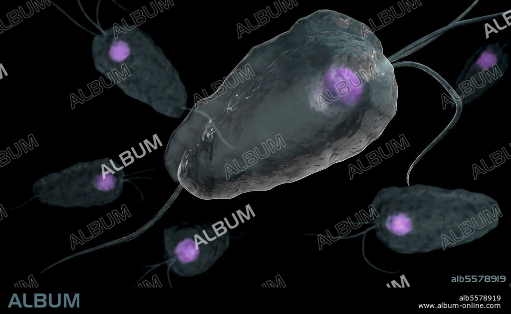 Conceptual biomedical illustration of trichomoniasis, a sexually transmitted infectious disease.