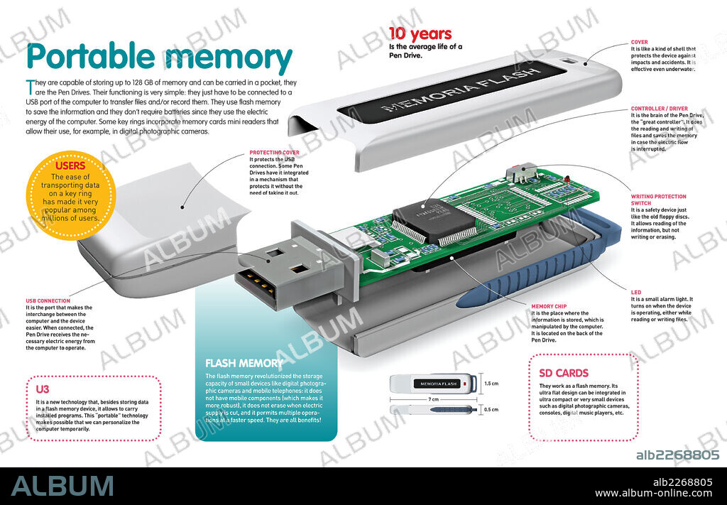 Portable memory. Infographic about the portable information storage system or Pen Drive.