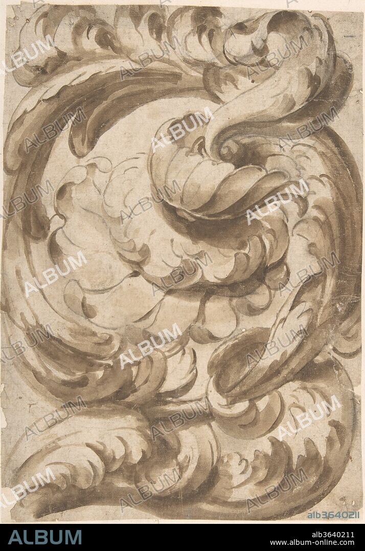 Acanthus Scroll with Rosette. Artist: Anonymous, Italian, 17th century. Dimensions: image: 11 7/8 x 8 1/4 in. (30.2 x 21 cm). Date: 17th century.