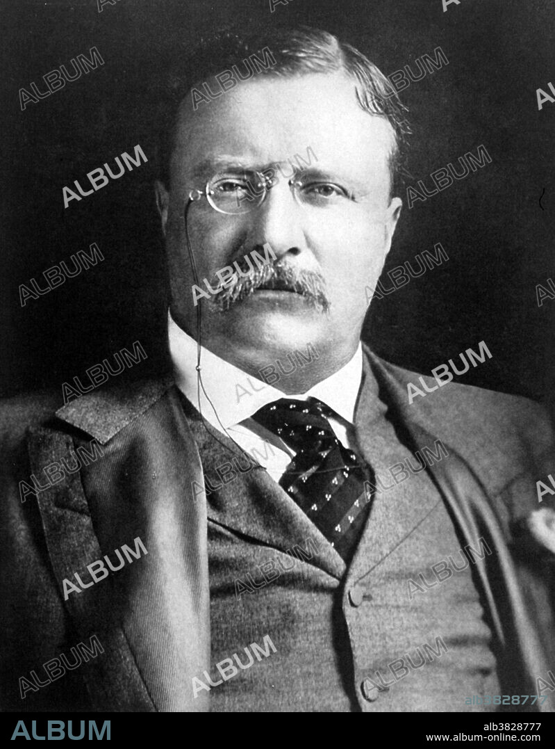 theodore roosevelt as a president