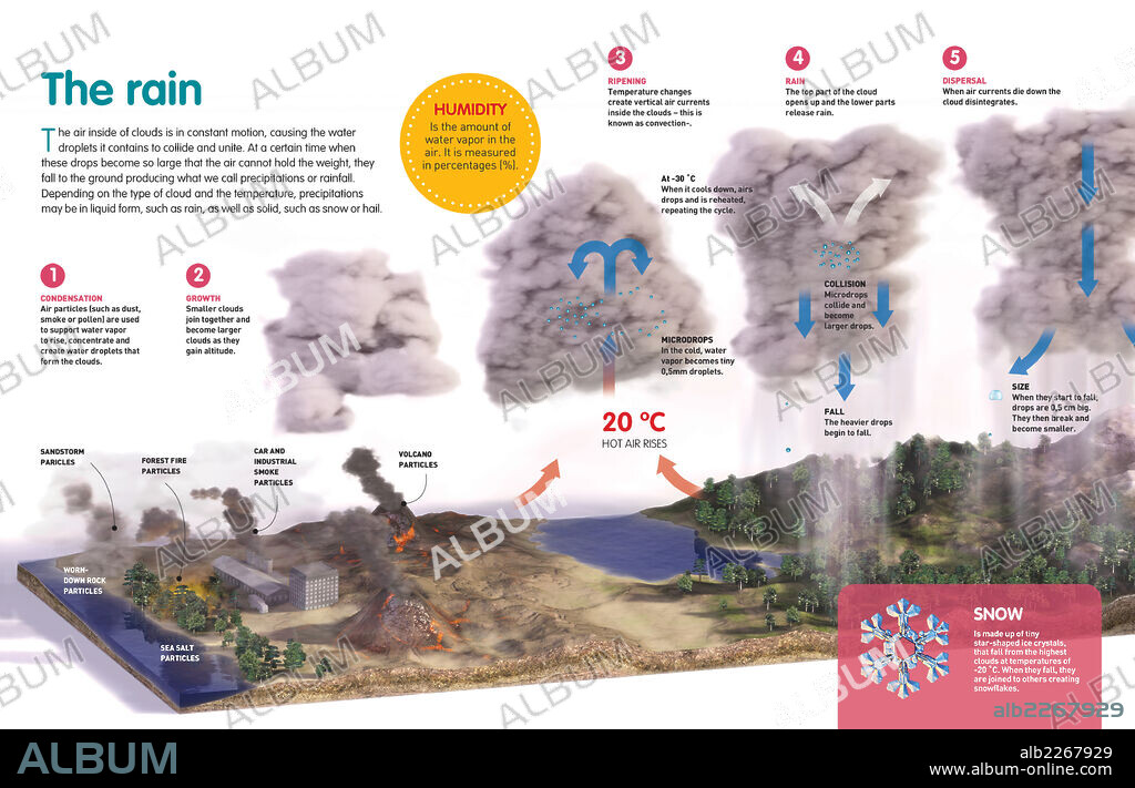 The rain. Infographic about the process of formation of rain and hail, and how their precipitation is produced.