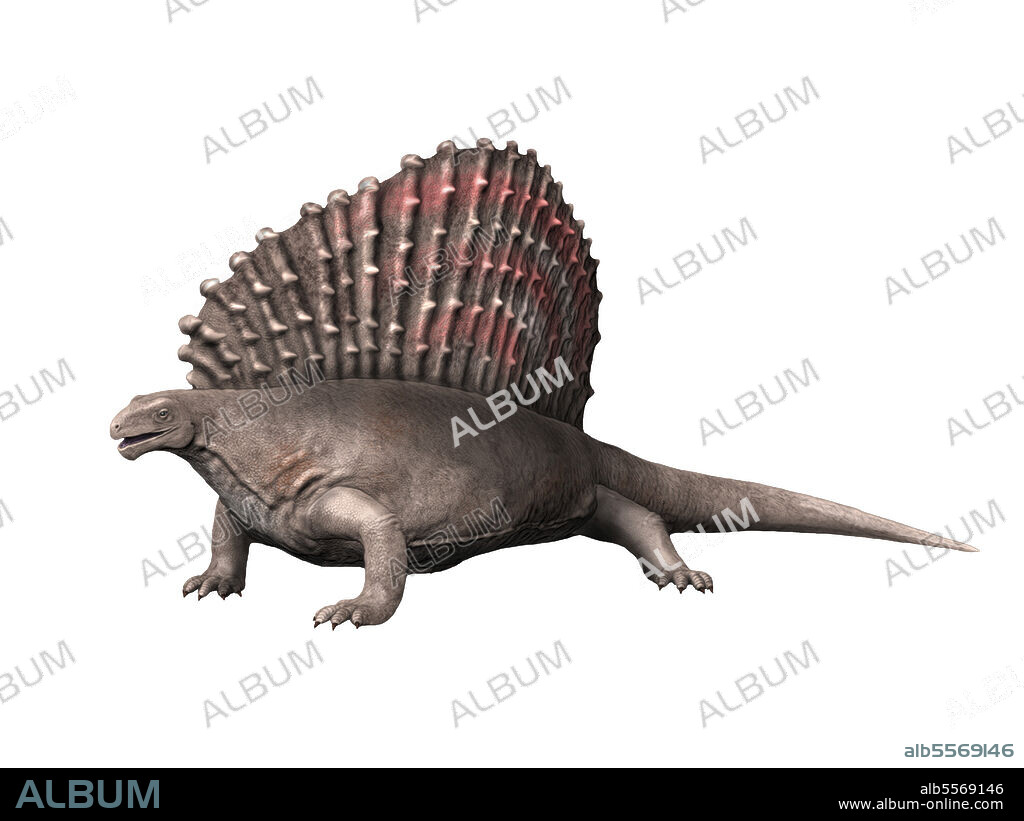 Edaphosaurus pogonias, Synapsida, Early Permian of Texas.