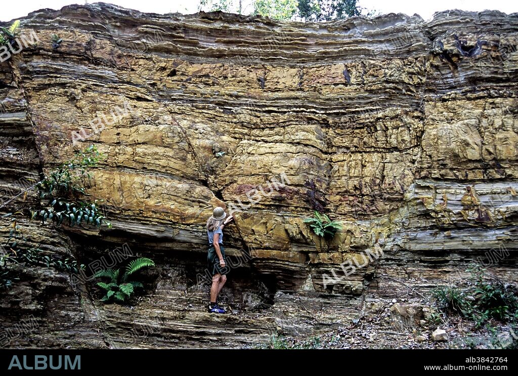 Normal faulting in sandstones of the Miri Formation, Miri, Sarawak, Malaysian Borneo. The two fault planes define a downfaulted V-shaped block.