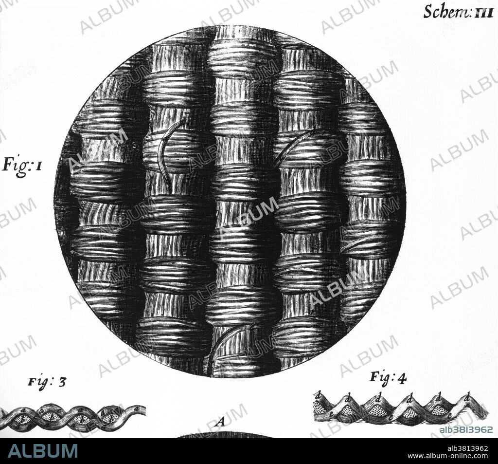 Taffeta silk as seen under a microscope, from an illustration in Robert Hooke's "Micrographia," published in 1665. Robert Hooke (1635-1703), among many achievements, coined the biological term cell and wrote the book "Micrographia," detailing his observations through his microscope.