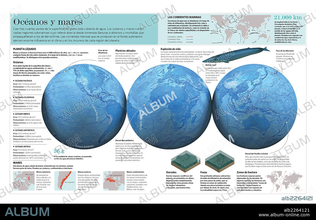 Mares y océanos. Infografía sobre los océanos y mares de la Tierra.