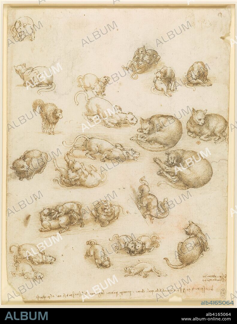 LEONARDO DA VINCI. Cats, lions, and a dragon c 1517-18. Black chalk, pen and ink, wash 27.0 x 21.0 cm (sheet on paper).