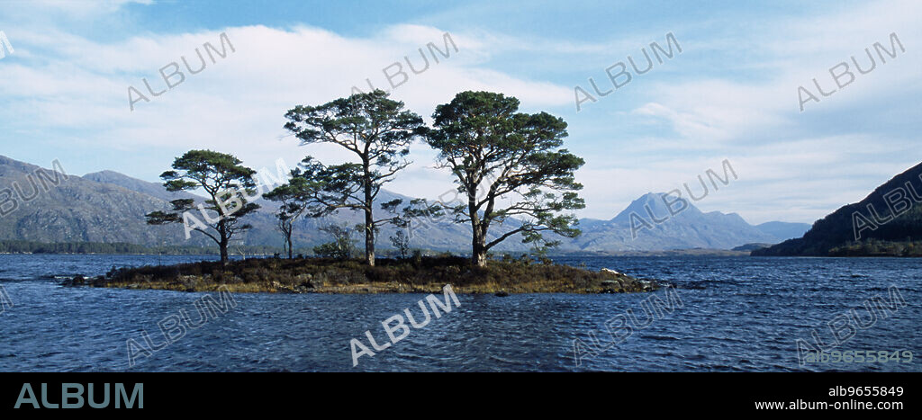 Scotland, Highlands, Loch Maree, View across Loch Maree towards a small island with trees growing on it. Slioch mountain in the distance.