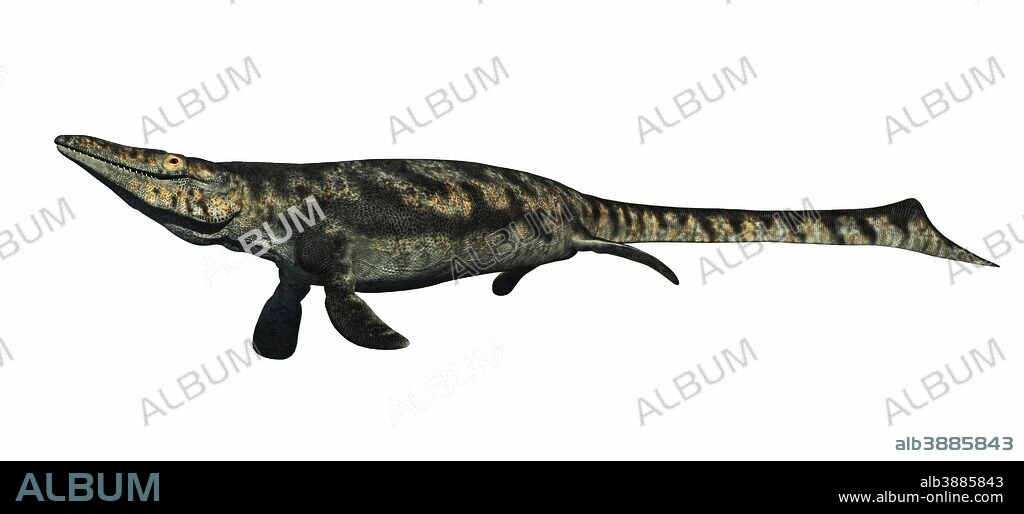 Primeval Mosasaur