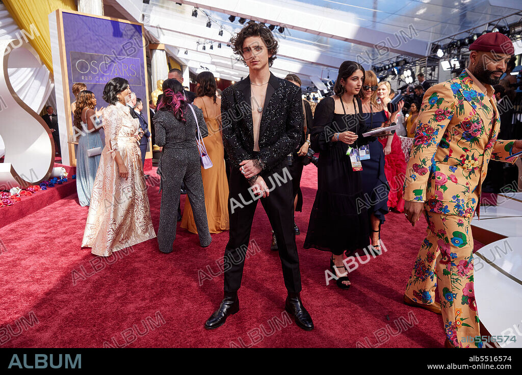 TIMOTHEE CHALAMET. Timothée Chalamet on the red carpet of the 94th Oscars® at the Dolby Theatre at Ovation Hollywood in Los Angeles, CA, on Sunday, March 27, 2022.