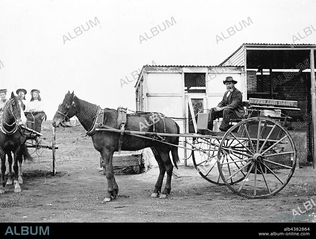 Negative - Trafalgar, Kalgoorlie, Western Australia, 1907, People in horse and carts outside the overland dairy, the first dairy in the Kalgoorlie area.